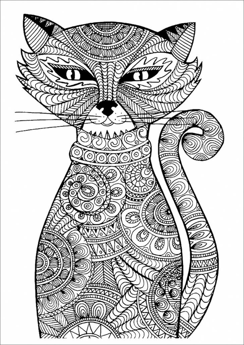 mandala gato