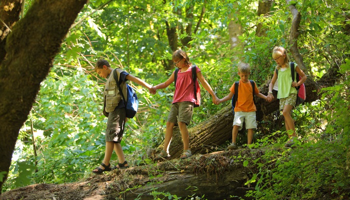 Tipos de campamento de verano 