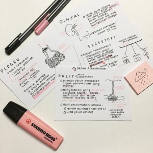 Cómo utilizar fichas de estudio - Material Escolar Blog