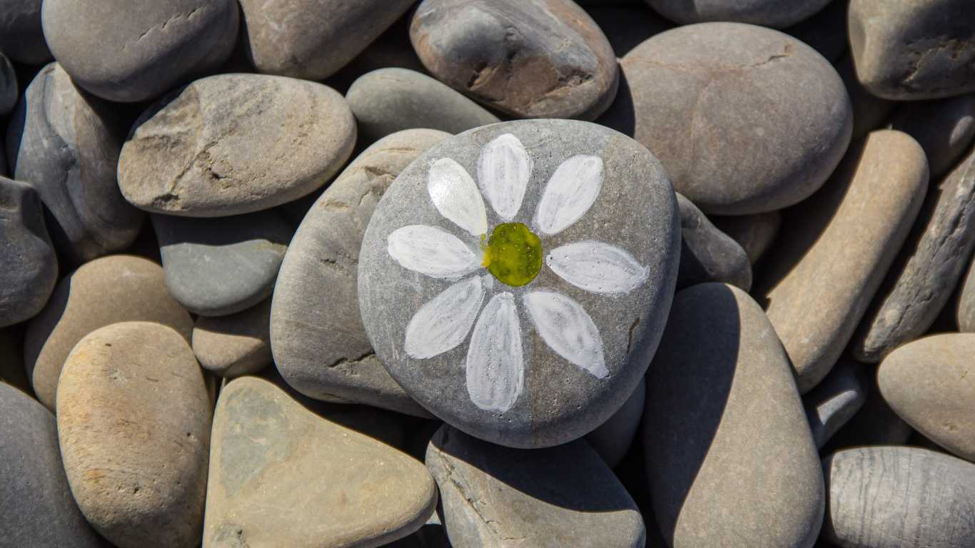 PIEDRA BLANCA CON PINTAS NEGRAS - Gran variedad de piedras