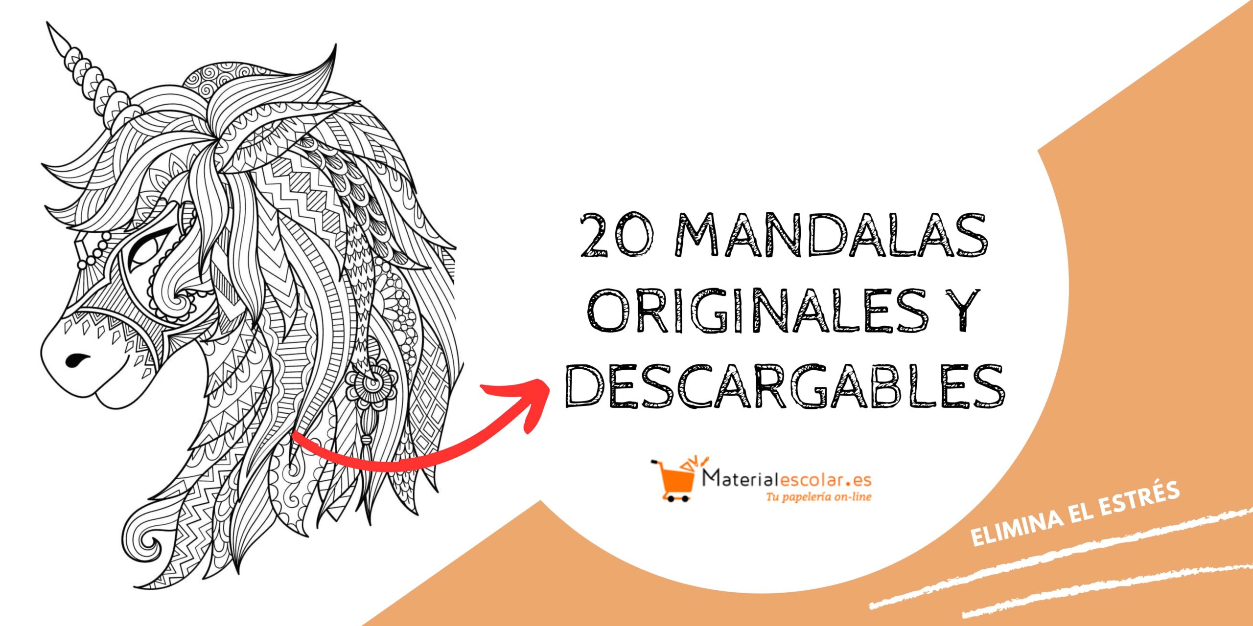 Mandala | Libro De Colorear Para Mayores: Dibujos Grandes y Fáciles Para  Colorear Para Adultos O Para Principiantes | Cuaderno Para Colorear