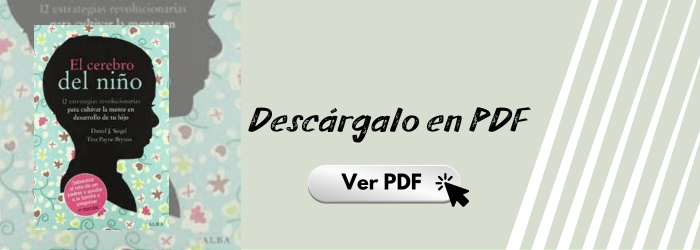 El cerebro del niño PDF